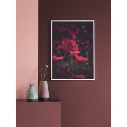 Постер "Красный мак"