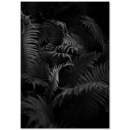 Комплект постеров "Fern and rose"