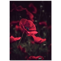 Комплект постерів "З любов'ю"