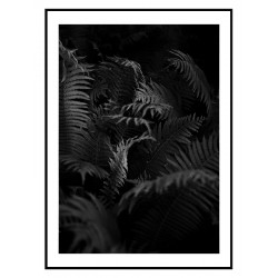 Комплект постерів в рамках "Fern and rose"