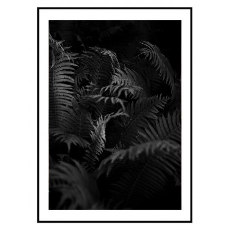 Комплект постерів в рамках "Fern and rose"