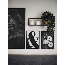 Комплект постеров в рамках "Fern and rose"