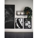 Комплект постерів в рамках "Fern and rose"