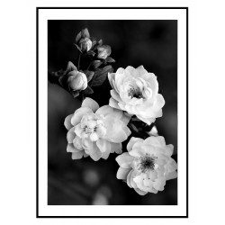 Комплект постерів в рамках "Fern and rose"