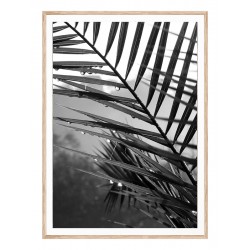 Постер "Palm leaves"