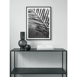Постер "Palm leaves"
