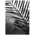 Постер "Palm leaves"