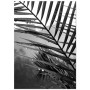 Постер "Palm leaves"