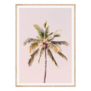 Постер "Palm"