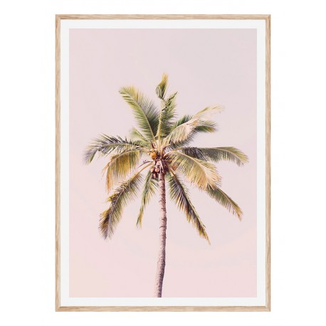 Постер "Palm"
