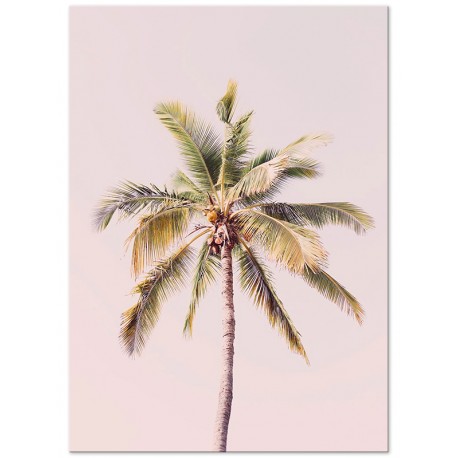 Постер "Palm"