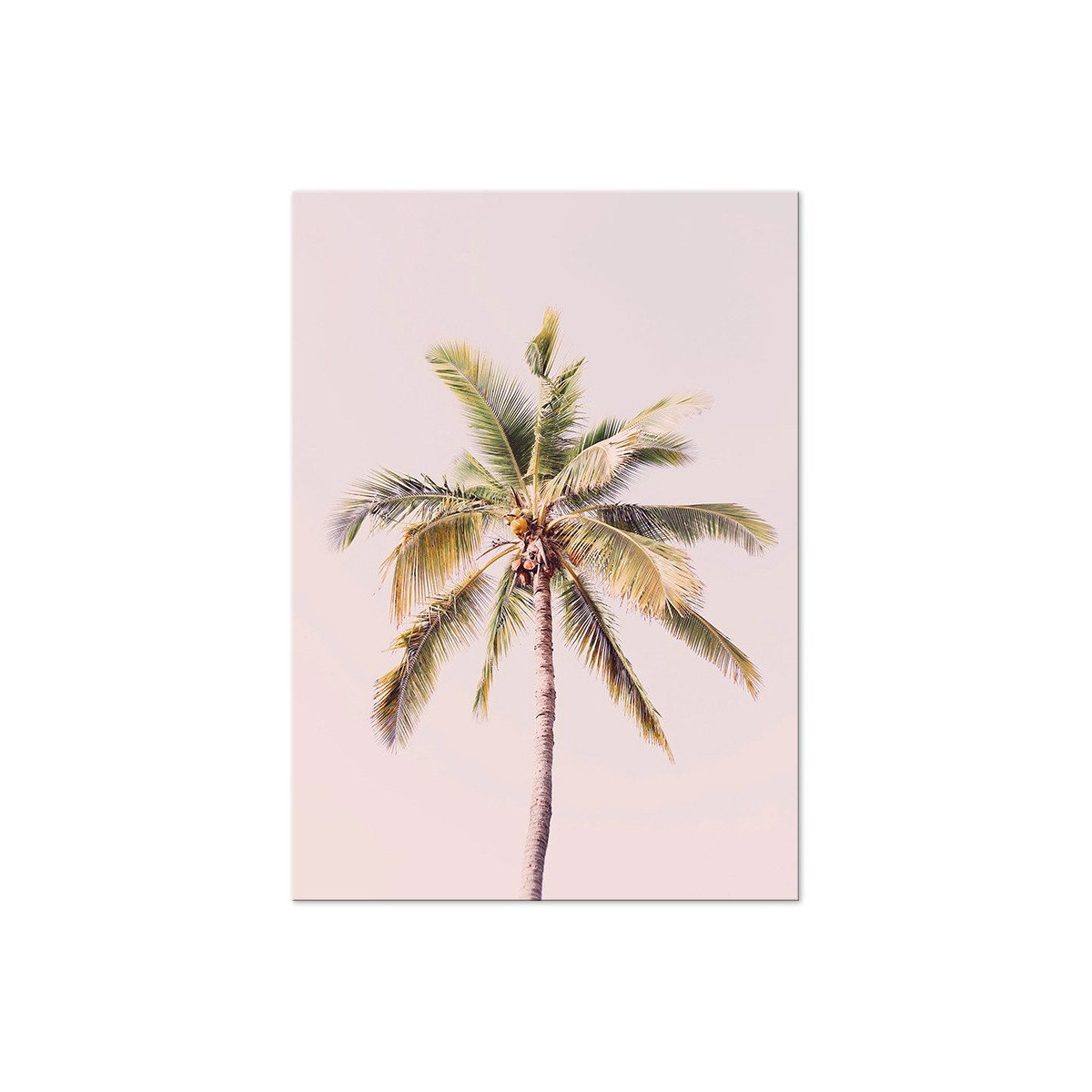 Постер "Palm"