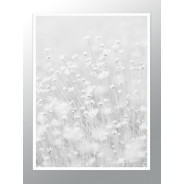 Постер "Flowers Aesthetics"