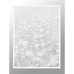 Постер "Flowers Aesthetics"