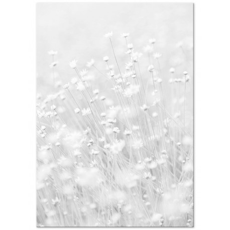 Постер "Flowers Aesthetics"