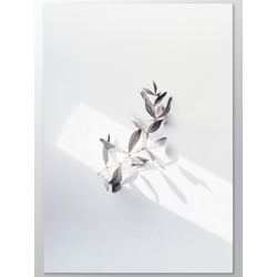 Комплект постеров "Aesthetics"