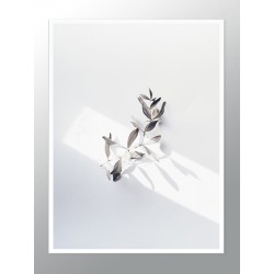 Комплект постерів в рамках "Aesthetics"