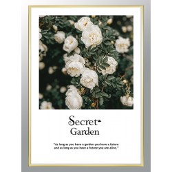 Постер "Secret garden"