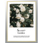Постер "Secret garden"