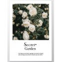 Постер "Secret garden"