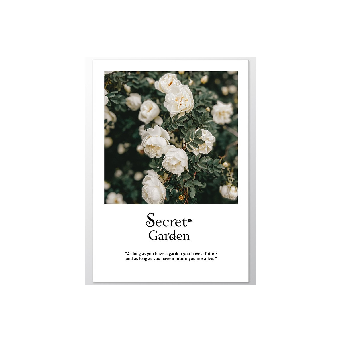 Постер "Secret garden"