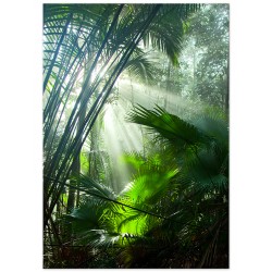 Комплект постерів "Greenery"