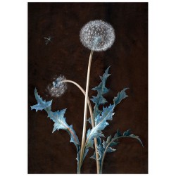 Комплект постеров "Mermaid Art"