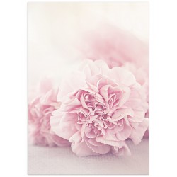 Комплект постерів "Zephyr"