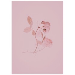 Комплект постерів "Nega"