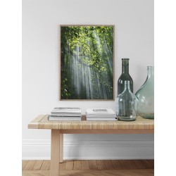 Постер "Ліс"