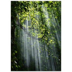 Постер "Лес"