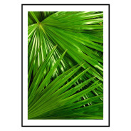 Постер "Palm"