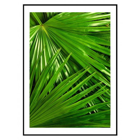 Постер "Palm"