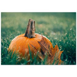 Постер "Pumpkin"