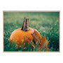 Постер "Pumpkin"