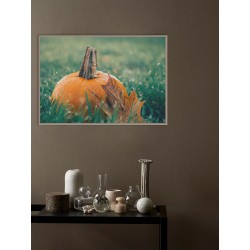 Постер "Pumpkin"