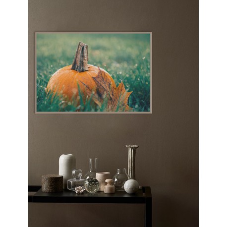 Постер "Pumpkin"