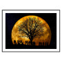 Постер "Moon"