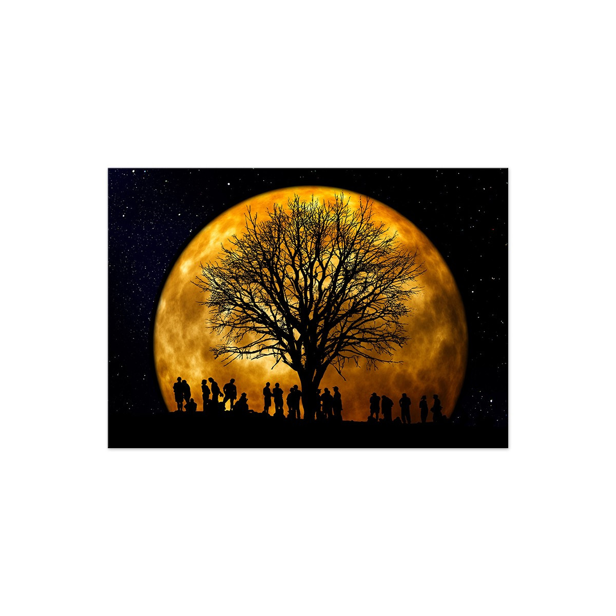 Постер "Moon"