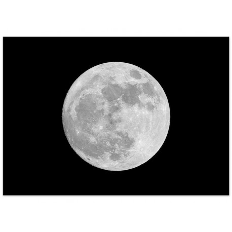 Постер "Moon"