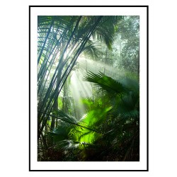 Комплект постеров в рамках "Green"