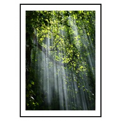 Комплект постерів в рамках "Green"