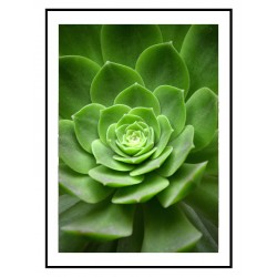 Комплект постерів в рамках "Green"