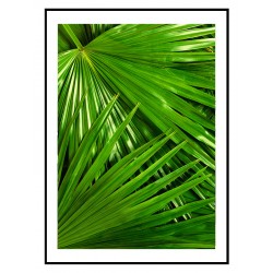 Комплект постеров в рамках "Green"