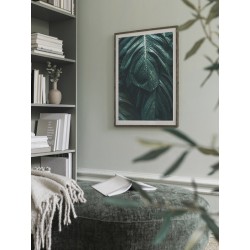 Постер "Monstera"