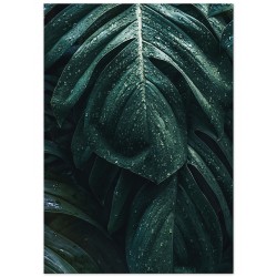 Постер "Monstera"