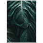Постер "Monstera"