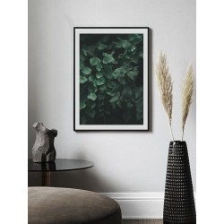 Постер "Адіантум Йорданський"