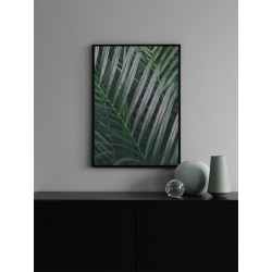 Постер "Пальма"