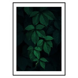 Постер "Green leaves"